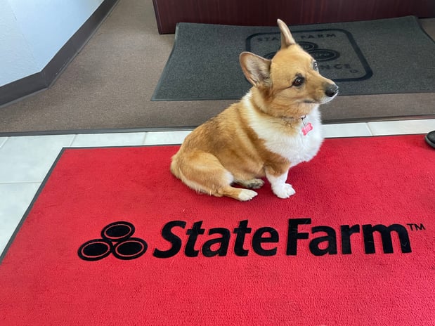 Images James Madrid - State Farm Insurance Agent