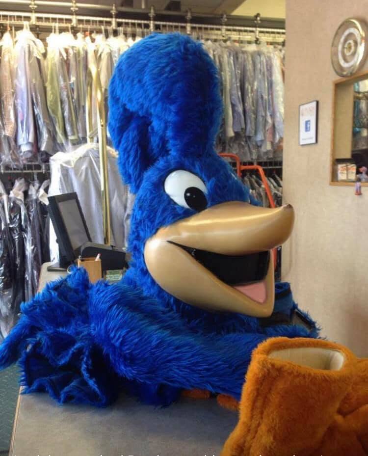 Professional costume and mascot cleaning for local schools, sports teams, and event organizations. Detailed cleaning for unique materials, headpieces, and synthetic furs
