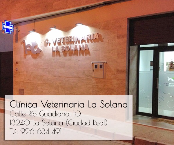Images Clínica Veterinaria La Solana