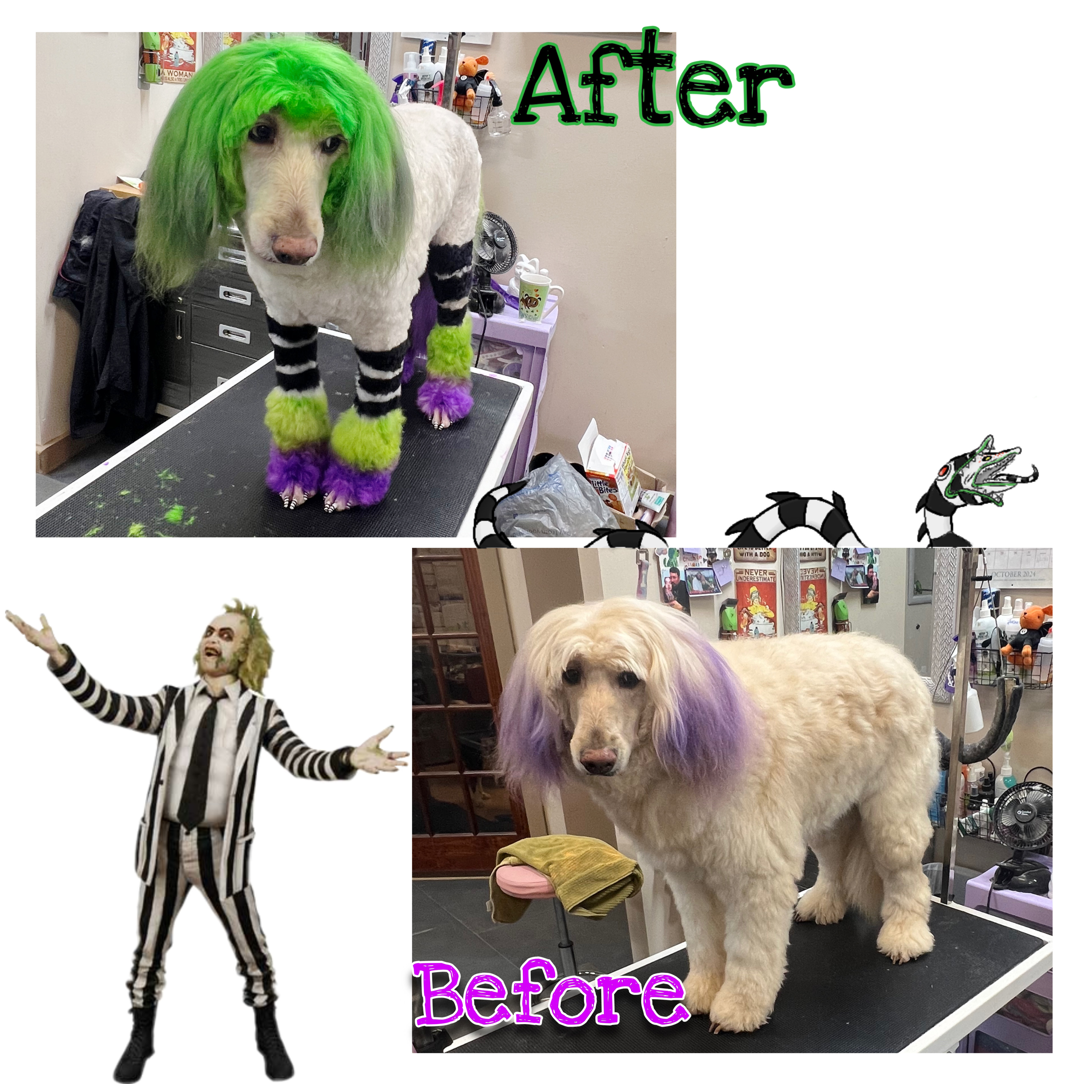 A collage comparing a dog's 'before' and 'after' grooming. The 'before' image shows a light-colored poodle with purple accents in its fur. The 'after' image depicts the same poodle with bright green fur on its head and ears, and striped black and white fur on its legs, with green and purple fluffy accents on its paws. A cartoon image of Beetlejuice and a sandworm are also included.