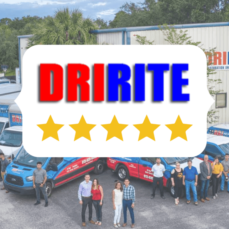 DriRite - Disaster Restoration - Tampa, FL 33619 - (813)518-6767 | ShowMeLocal.com