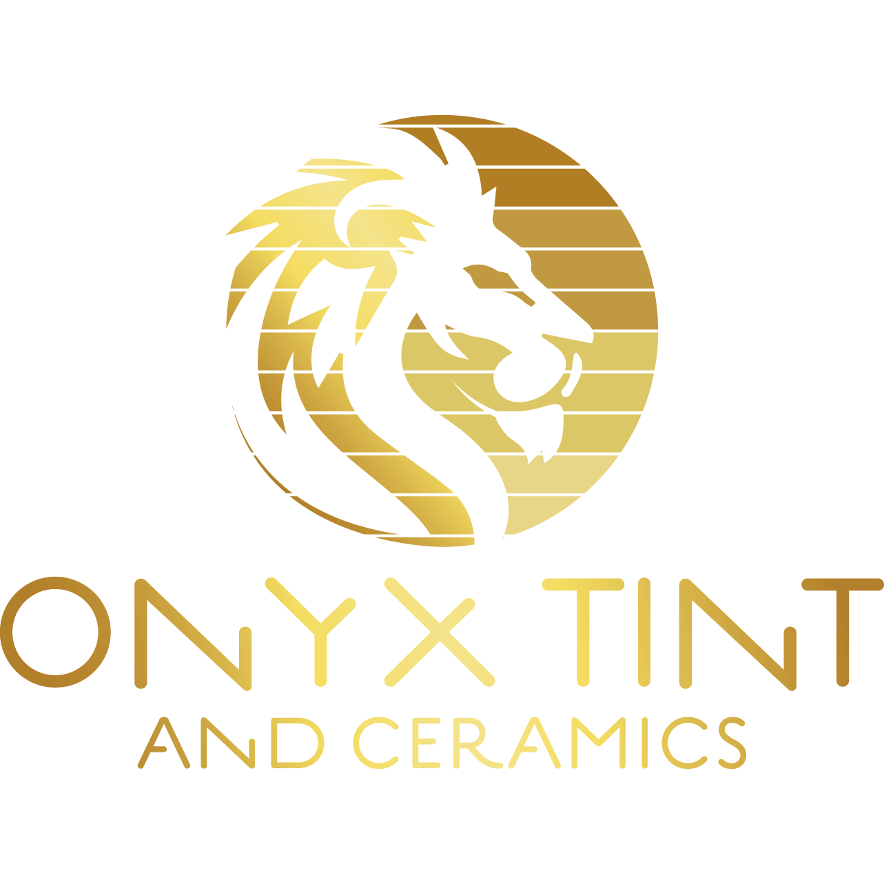 Onyx Tint and Ceramics - Ashland, KY 41101 - (970)690-7221 | ShowMeLocal.com