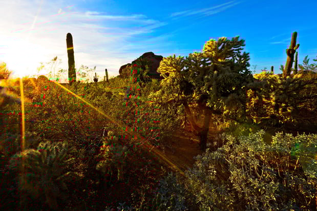 Images Holiday Inn Express & Suites Phoenix - Airport North by IHG
