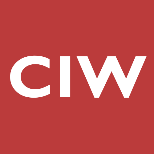 Chinchilla Iron Work Logo