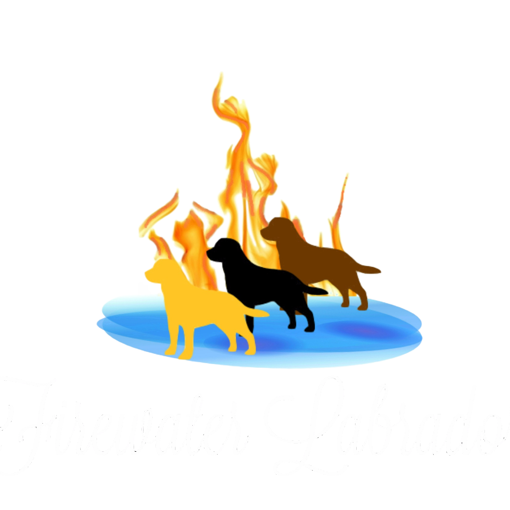 Fire Water Labrador Retrievers