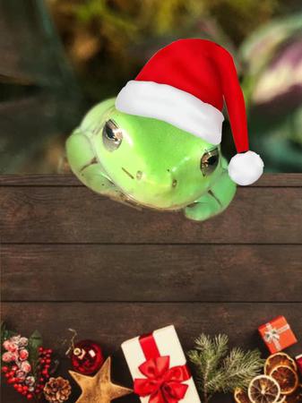 Images Frank's Pet Shop