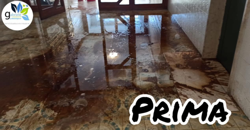 Images Emanuele & Gabriele Pulizia & Igiene