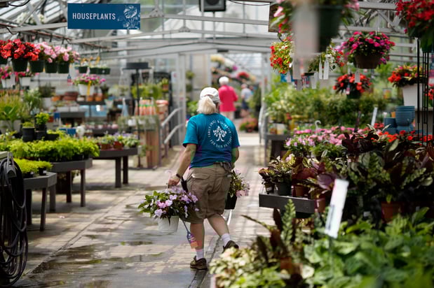 Images Mahoney's Garden Center