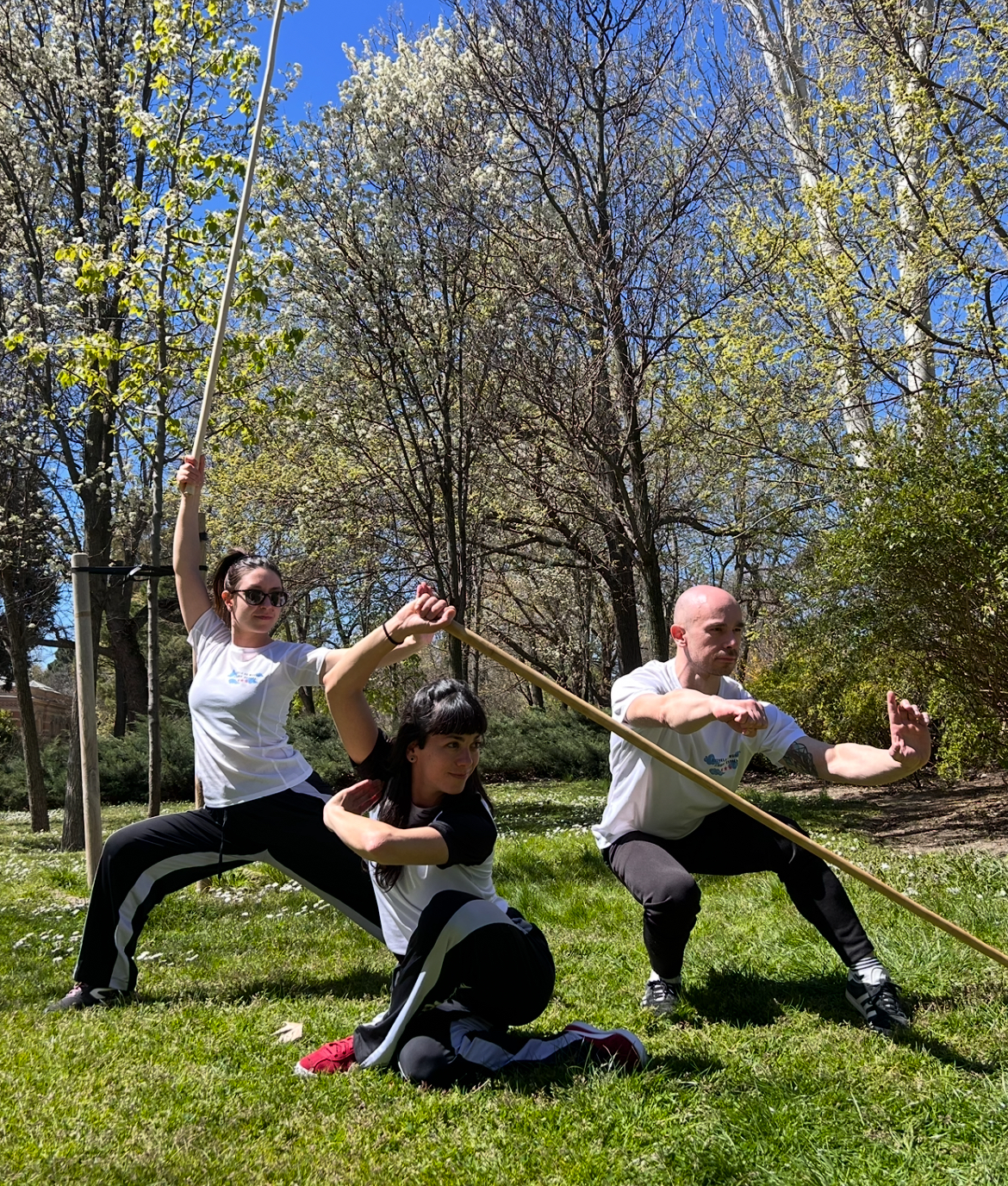Images Escuela De Wushu/kung Fu Jingwu