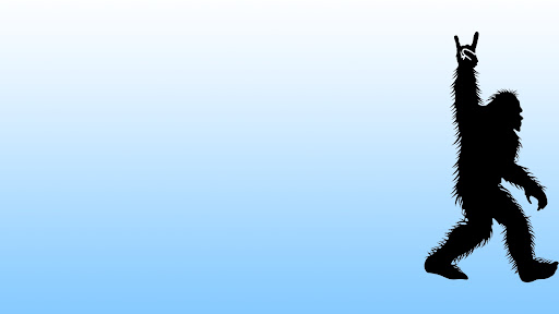 Images Digital Footprint Management