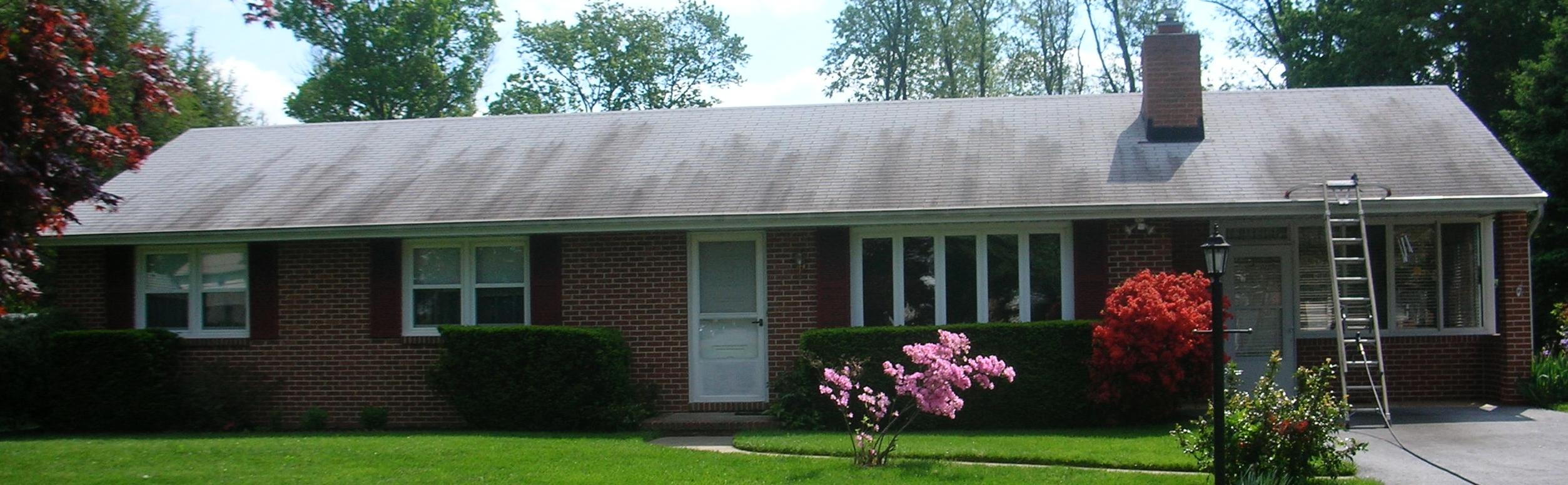 Roof Real Clean