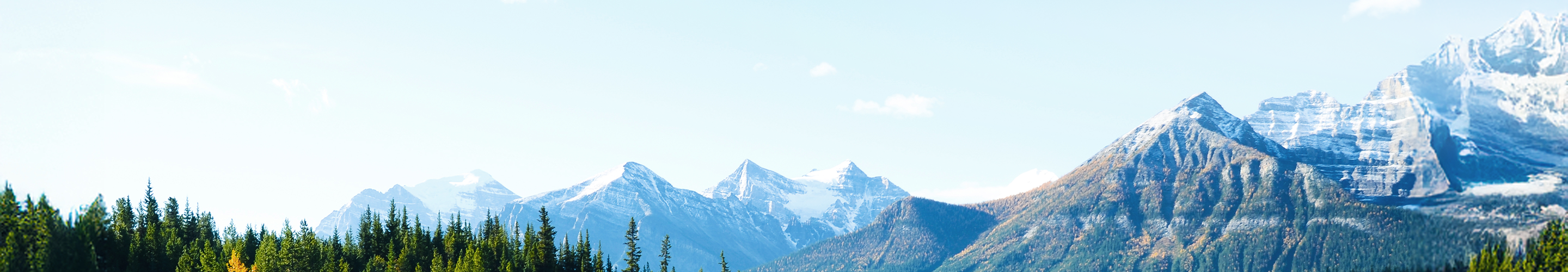 A forest with snow-capped mountains beneath a blue sky.