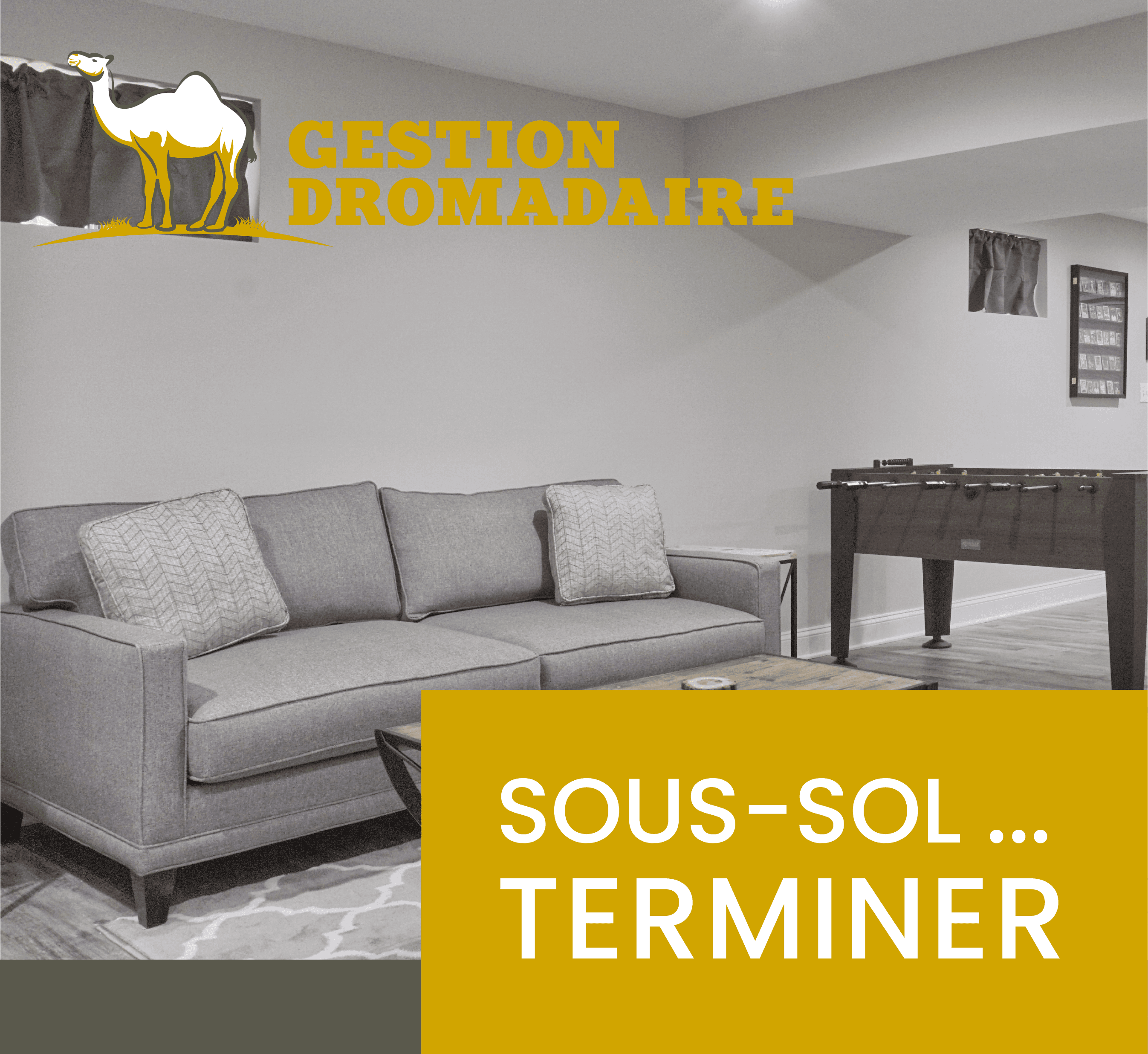 Images Gestion Dromadaire Inc