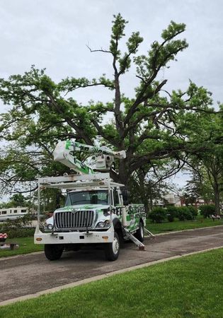 Images Top Notch Tree Service Inc.