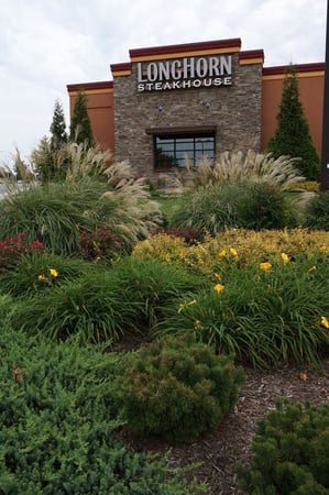 Images Varsity Landscaping & Grounds
