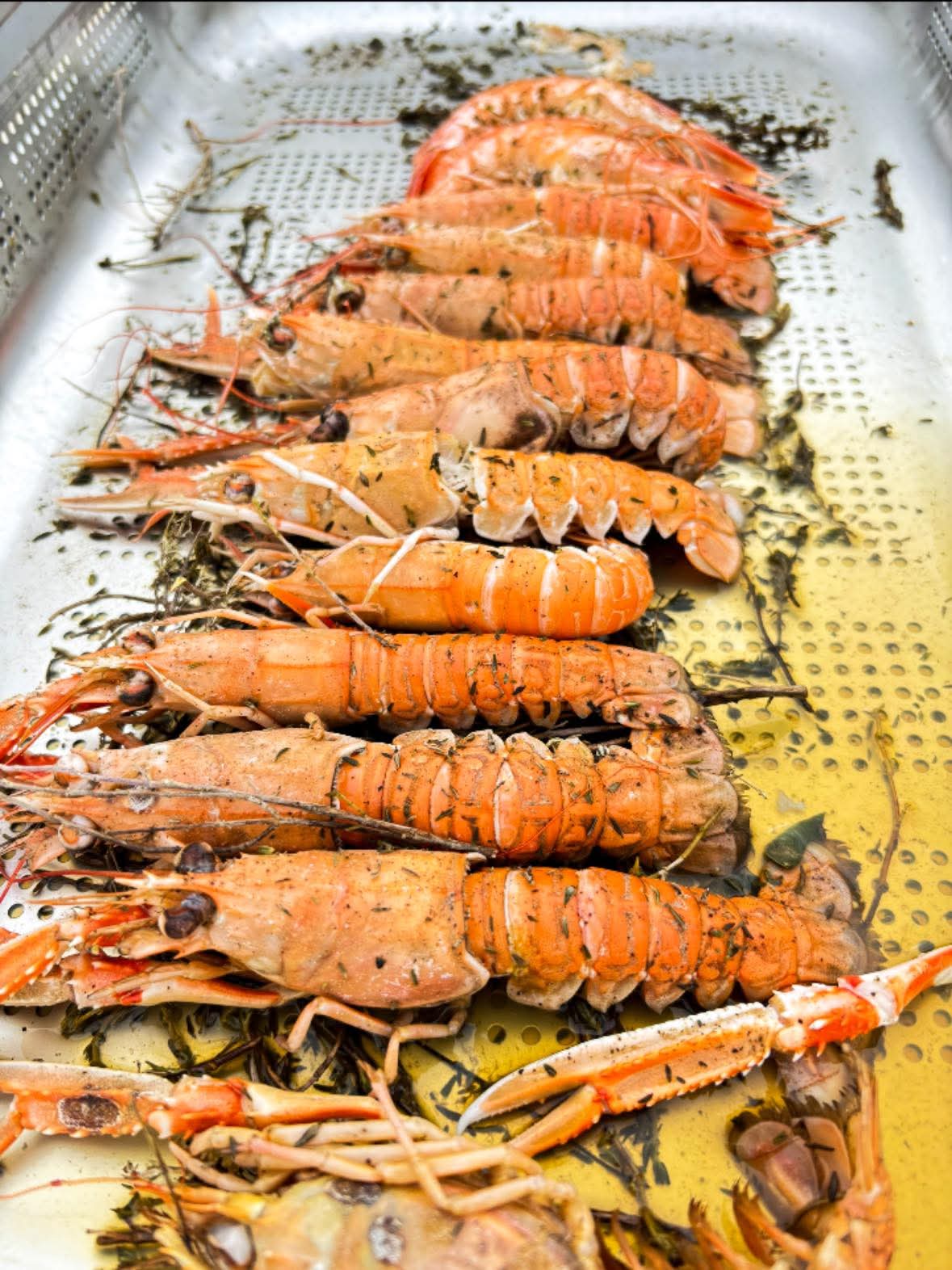 Langoustines cuites Langoustines cuites