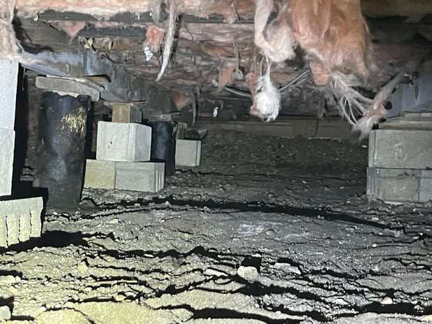 Images P.I. Home Inspection Services