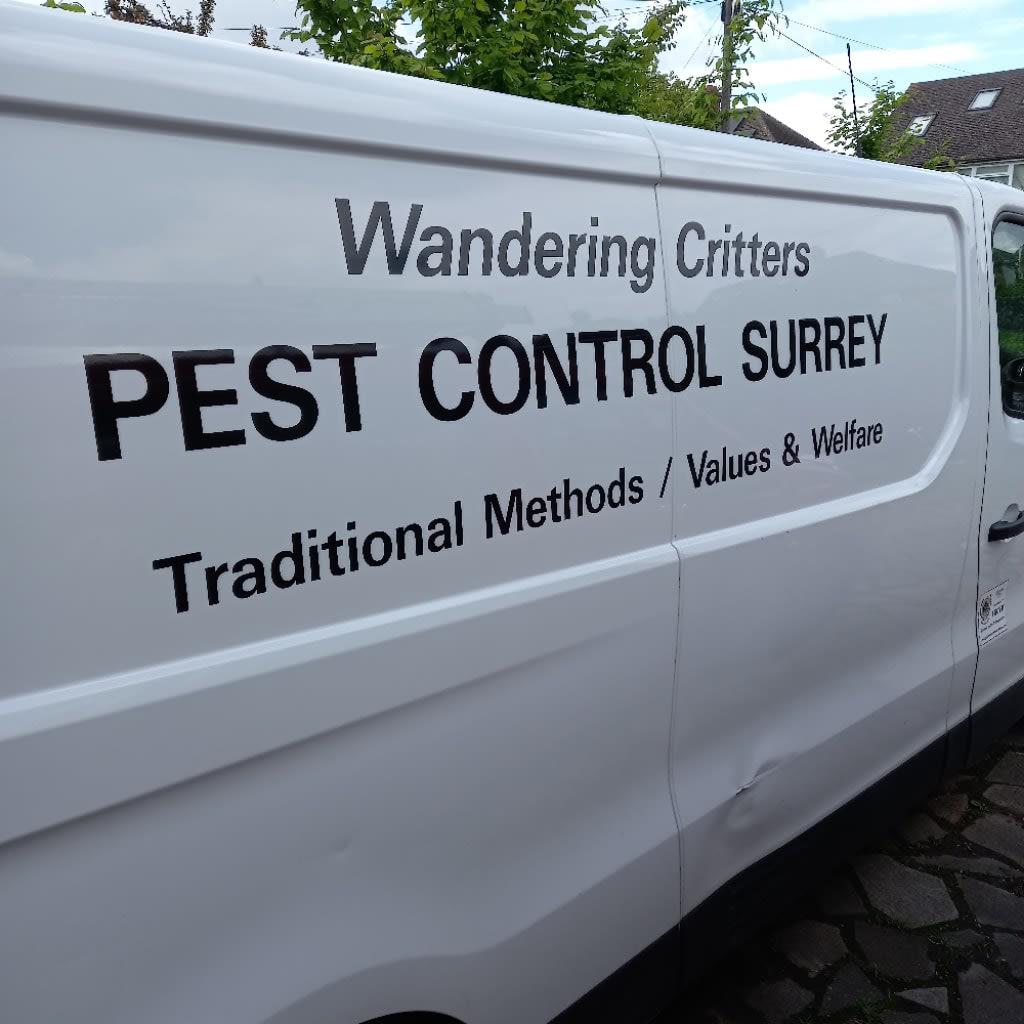 Images Wandering Critters Pest Control Surrey
