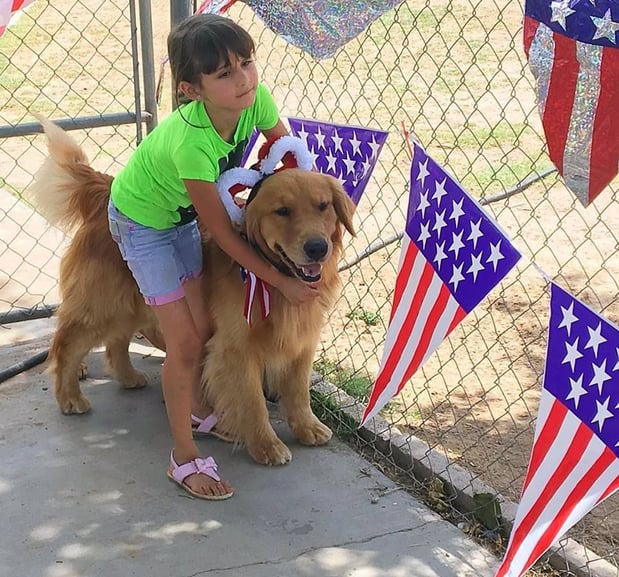 Images Barkerhaus Kennels
