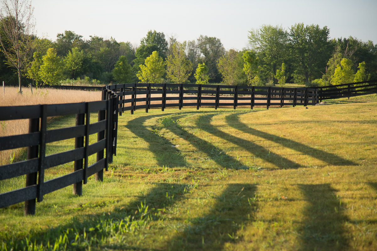 Aster at Jerome Village by Rockford Homes Image