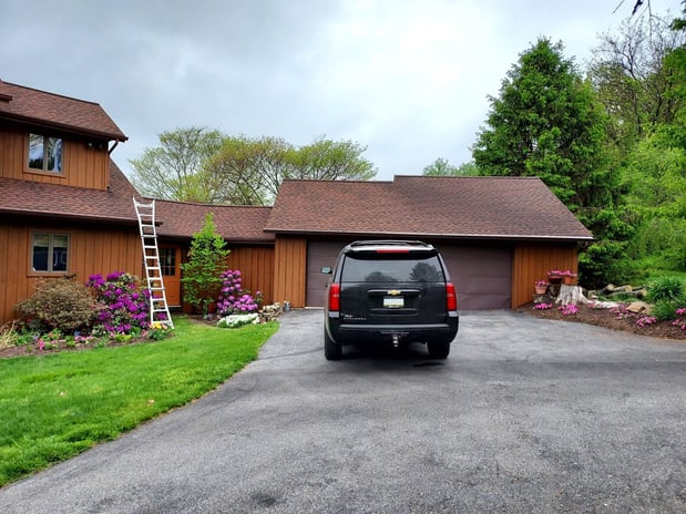 Images Bald Eagle Exteriors