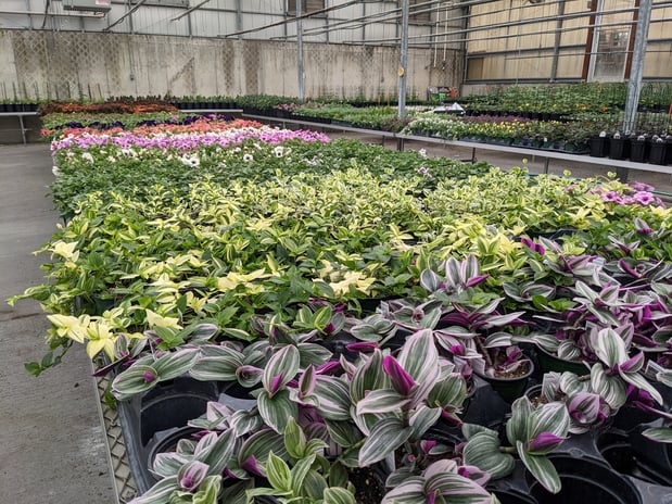 Images Grant Line Garden Center & Nursery