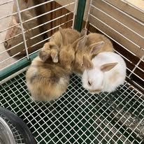 Images Harrison Farm and Feed