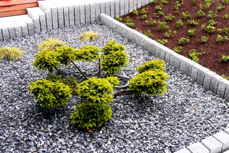 Gartengestaltung Dominik Hauer, Ranseredt 31 31 /1 in Eggerding