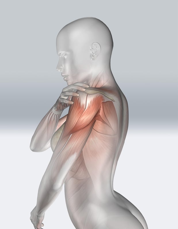 Images Apex Physical Rehabilitation & Wellness - Missouri City, TX