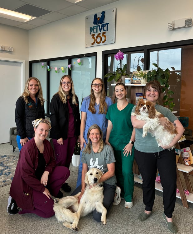 Images PetVet365 Pet Hospital Louisville/Anchorage