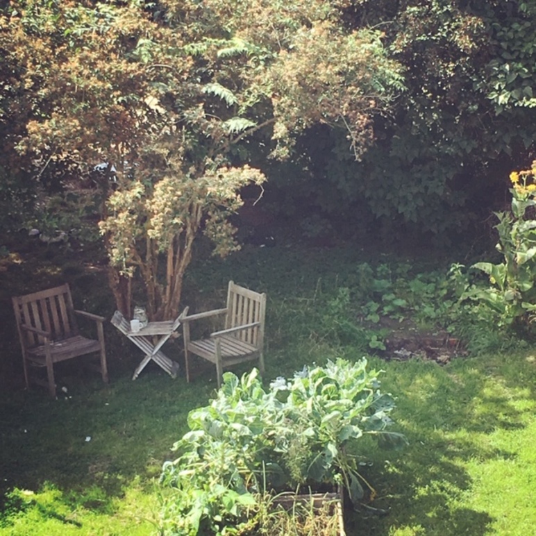 Images Psykologen på Landet