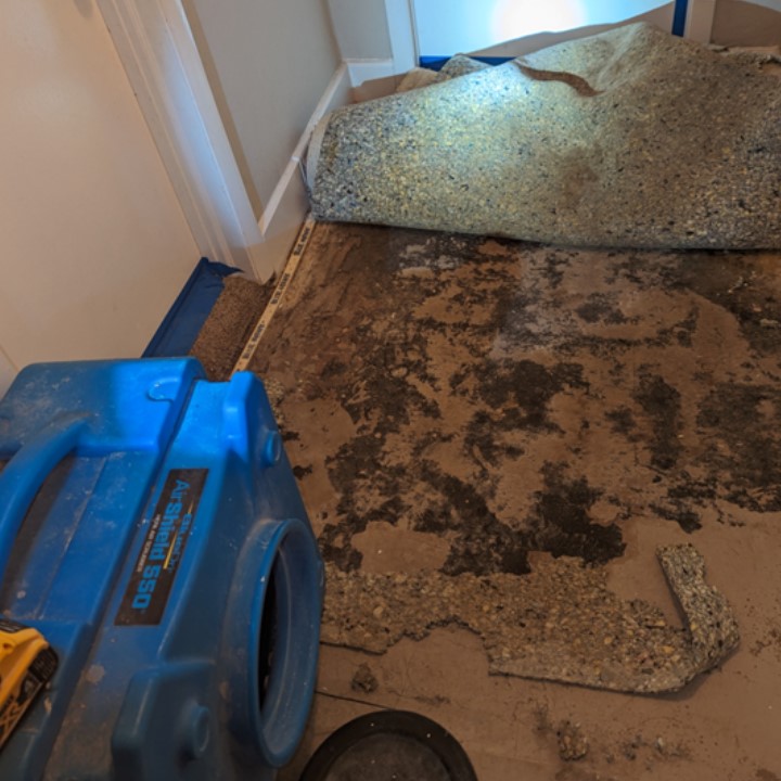 Images Affordable Mold Removal & Remodeling