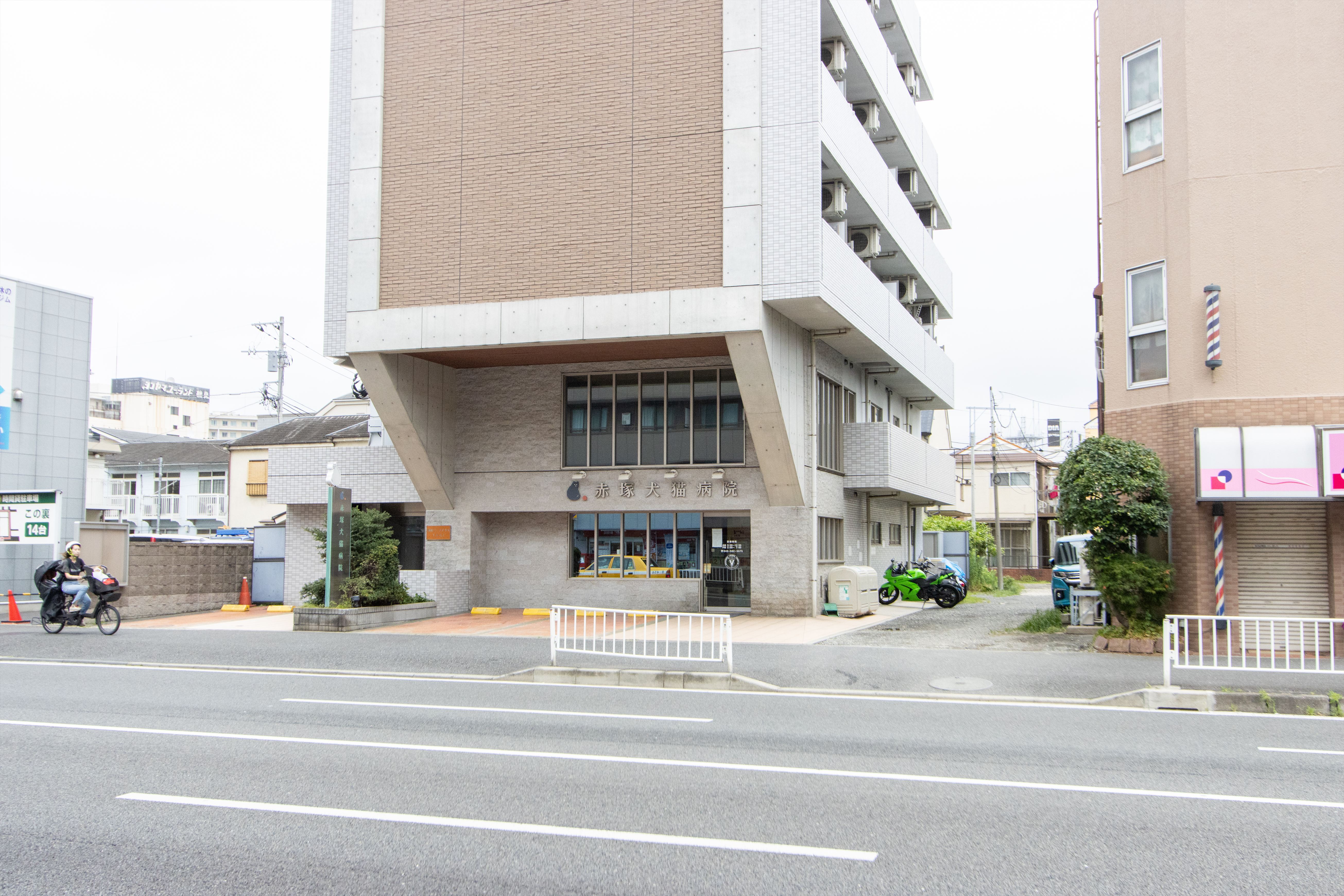 Images 下末吉赤塚犬猫病院