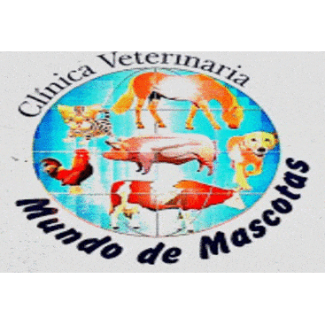 CLINICA VETERINARIA MUNDO DE MASCOTAS - Veterinarian - Managua - 8914 5852 Nicaragua | ShowMeLocal.com