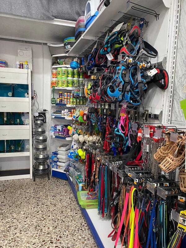 Images Il Mondo degli Animali