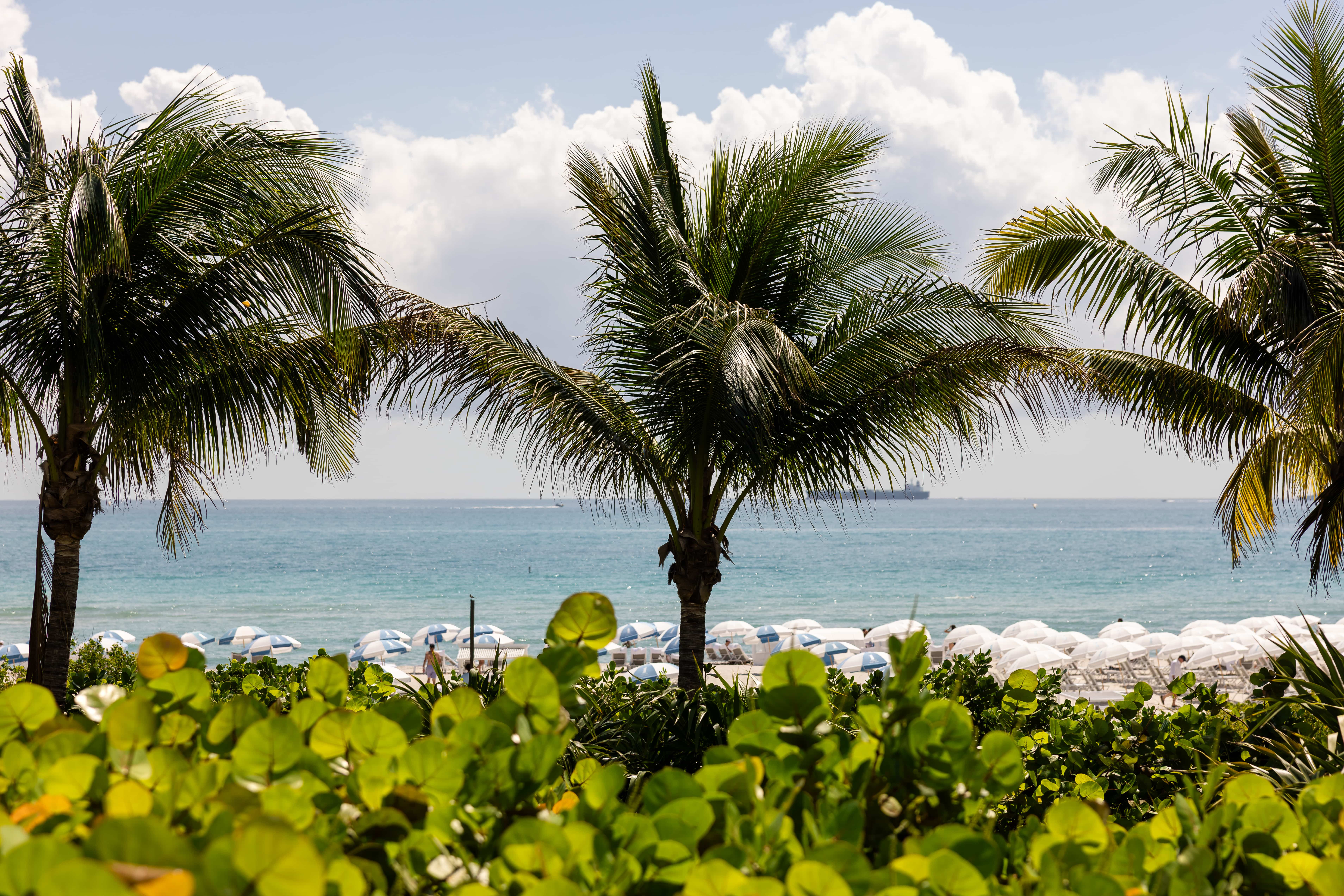 Beachfront 
