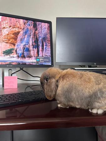 Images Todd Glover - State Farm Insurance Agent