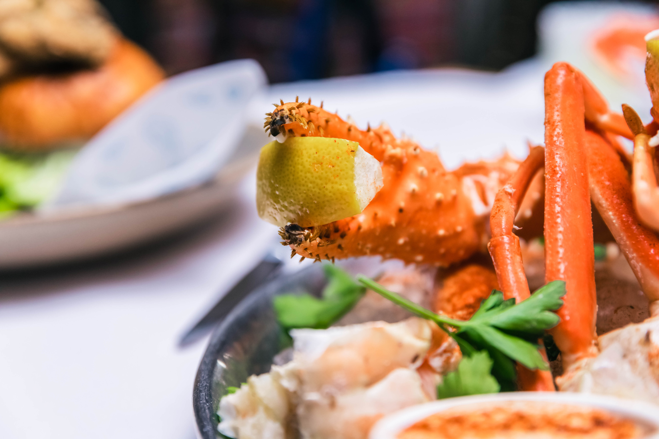 Fresh and sustainable seafood