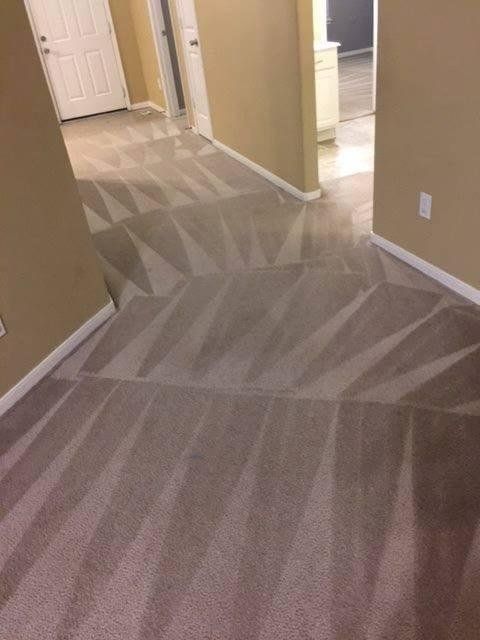 Hallway with freshly cleaned carpet showing professional vacuum lines, beige walls, white trim, and doorways, highlighting detailed carpet cleaning results and well-maintained residential interior space.