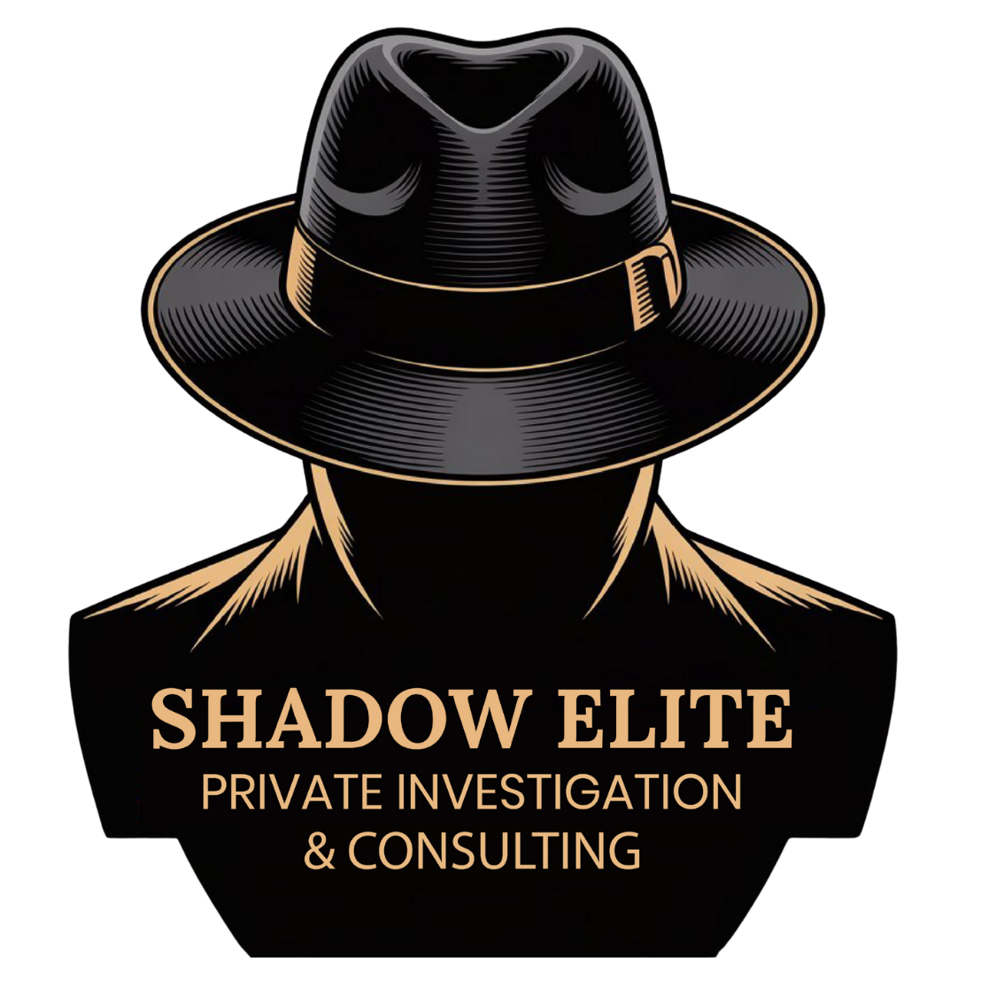 Shadow Elite Private Investigation & Consulting