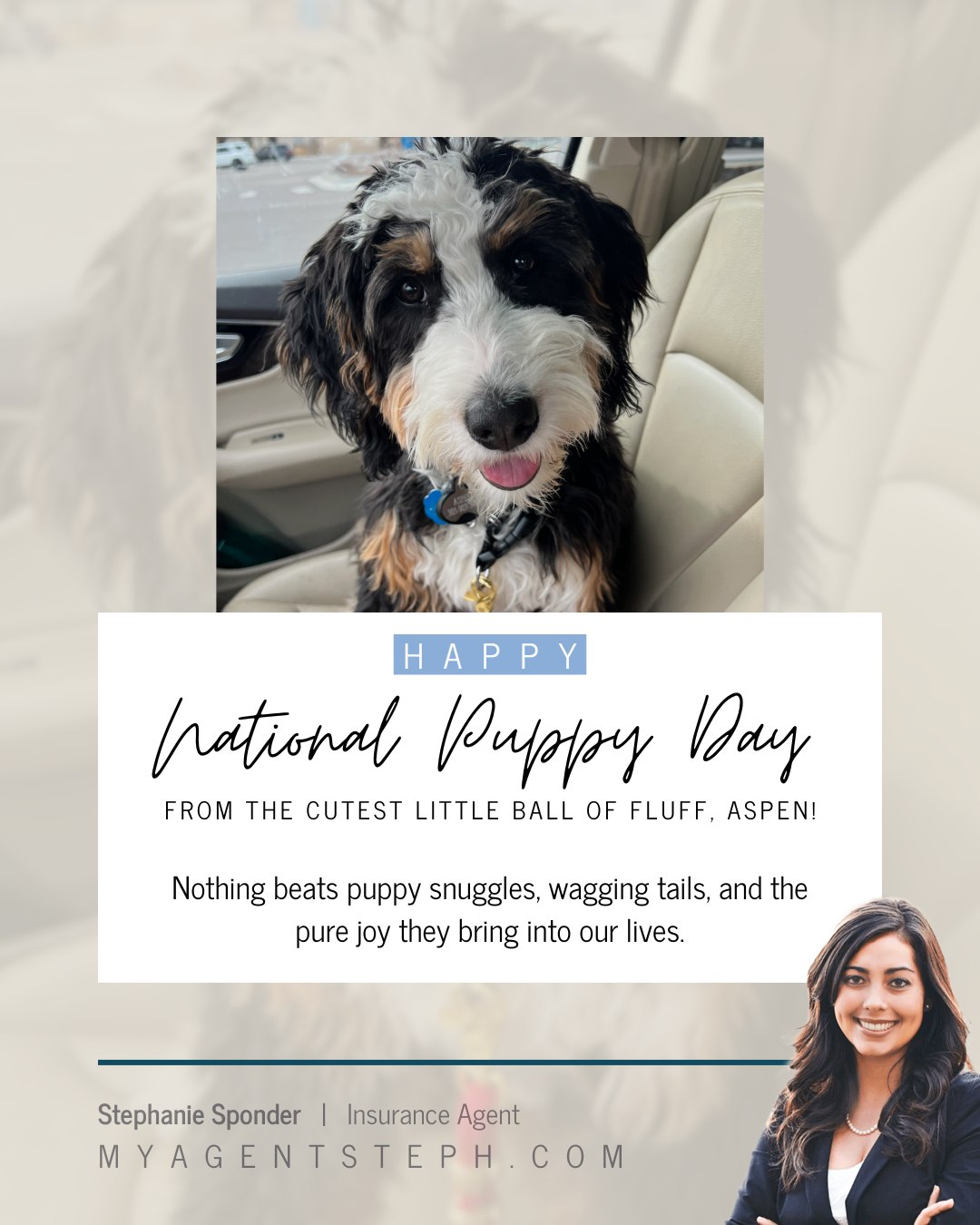 Life is just better with a wagging tail and puppy kisses! Whether they’re causing mischief or melting hearts, puppies make every day brighter.