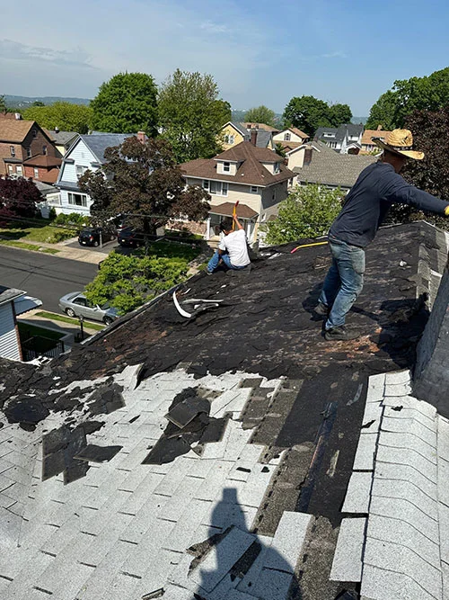 Pro Master Construction Logo