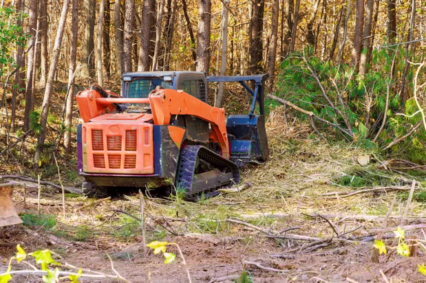 Images Trinity Landscaping & Excavating