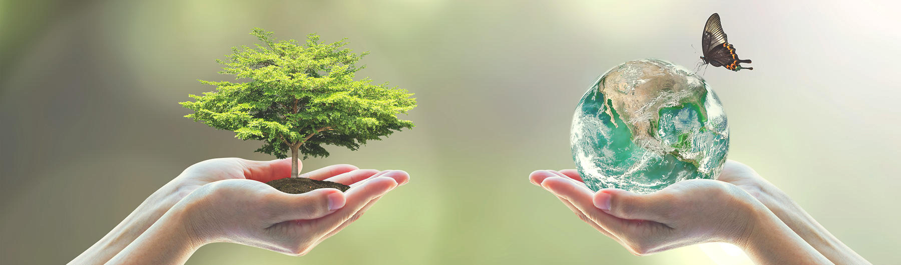 Zahnärzte Scheyern Praxis für ganzheitliche Zahnheilkunde, Giselastrasse 1 in Scheyern