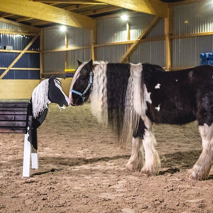Bilder Sandys Holzpferde
