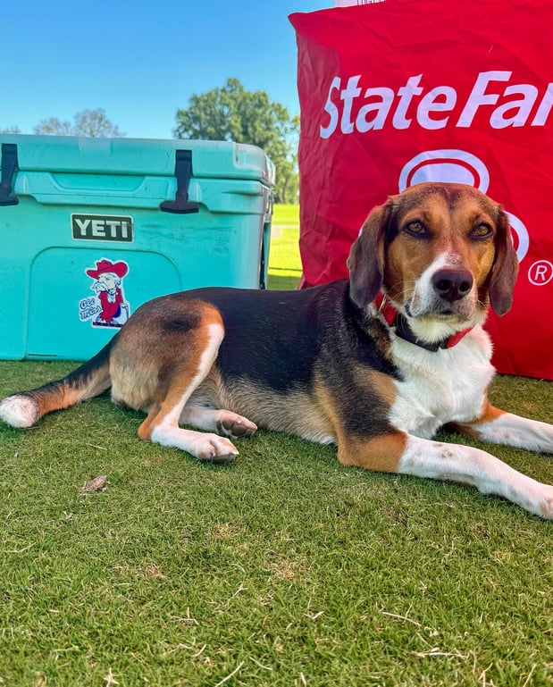 Images Lauren Tullos - State Farm Insurance Agent