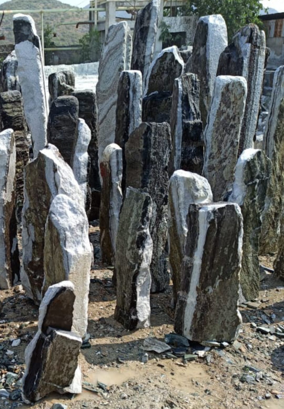 Bild 15 von Alexander Josef Krempler