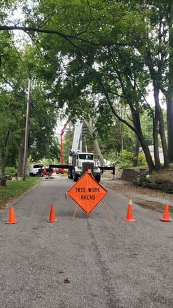 Images L&M Tree Service