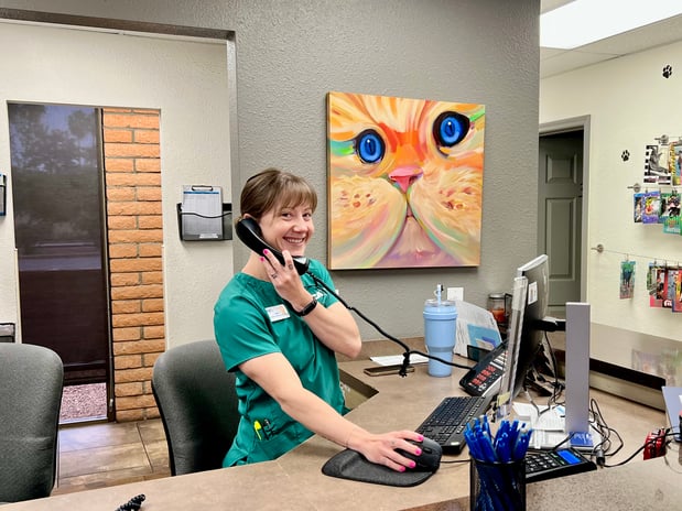 Images VCA McCormick Ranch Animal Hospital and Emergency Center