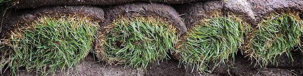 Images W. Hoffman Sod Co